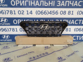 Решетка радиатора (под камеру)